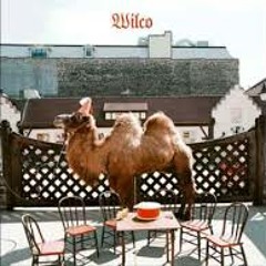"Bull Black Nova" - Wilco (Live)