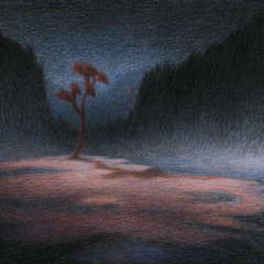 Nest - Last vestige of old joy