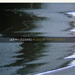 Flies In The Honey