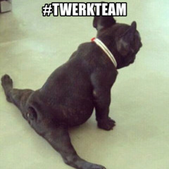 Metal Twerk Team
