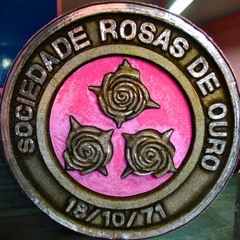 Rosas de Ouro 2005 samba enredo