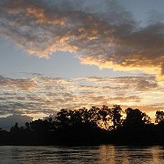 Selvans - Styve Fanthom. Baxaál Ravings