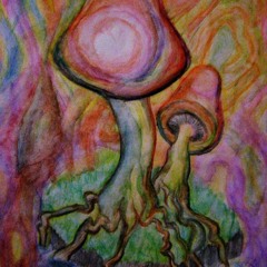 Series of mushie moments