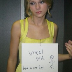 You Belong With Me - taylor swift, guitar instrument