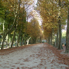 Only You Accapella (originally by The Platters)