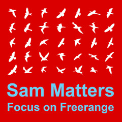 Toni Lionni - Precious (Sam Matters Remix) [Freerange Records] (96Kbps)