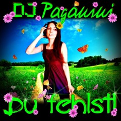 DJ Paganini - Du fehlst (Full Tune Edit)