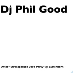 After Streetparade Party "Zürihorn" 0100 - 0200 (Live Vinyl Mix)2001