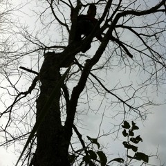 'Can I Live?' Vice Versa