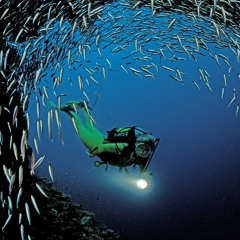 George Pallikaris - Woman