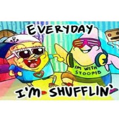 MaShuffleSET