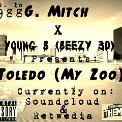 Toledo My Zoo (prod. by majormcclouds)