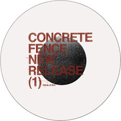 Concrete Fence (Regis & Russell Haswell) 'Industrial Disease' (PAN 39)