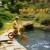 Artwork for Nada Surf - Zen Brain (Cover)