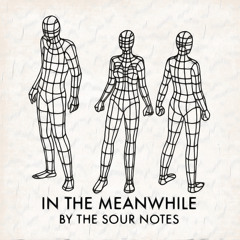 'In The Meanwhile' CASSINGLE