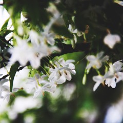 Breaking Free - High School Musical