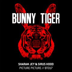 Sharam Jey & Sirus Hood - Picture Picture (Preview!)BT017 / Out Aug 27th!
