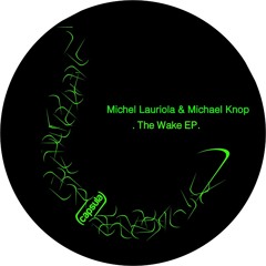 Michael Knop & Michel Lauriola - Niacotin (Original Mix) [Capsula]