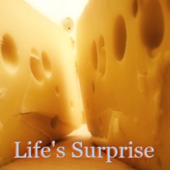 Life's Surprise