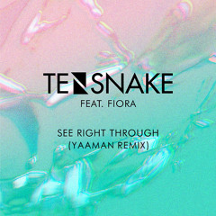 Tensnake ft. Fiora - See Right Through (Yaaman Remix)