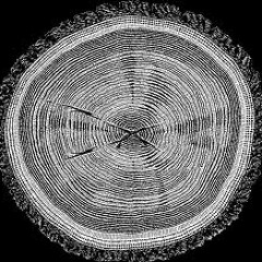 Okor - Cross-section (demo clip) (OUT NOW on Balkan Kolektiv Records)