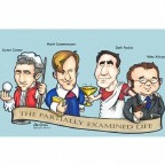 Why Do Philosophy? - Partially Examined Life