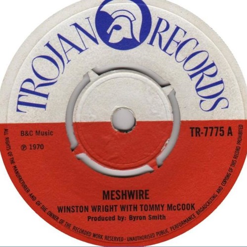 Winston Wright - Meshwire