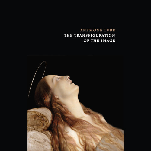 Screen Test Intersection (The Transfiguration Of The Image Tape 2013)