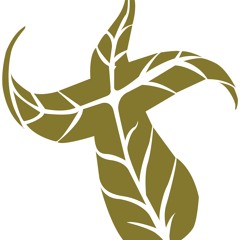 Como Reparar Un Amor