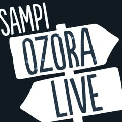 Ozora Live 2013 (Pumpui set)