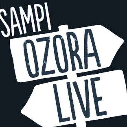 Ozora Live 2013 (Pumpui set)
