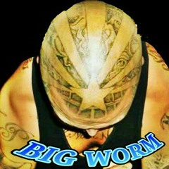 B****** Anit Shit By Big Worm