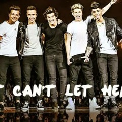 One Direction - Just Can't Let Her Go
