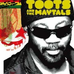 Reggae Got Soul - Toots & The Maytals (Hiphoppapotamus Remix)