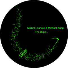 Michel lauriola & Michael Knop - Above the explosion (Capsula Rec Sasha Carassi's Label )