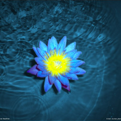 Coming Back To Life - Pink Floyd Cover