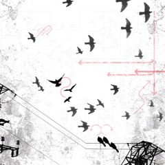 Tracy Harris Incio STL