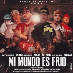 La Mota y Aly feat. Polaco, Persa "La Voz de la Calle", Feo G e Ice - Mi Mundo Es Frio
