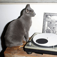 No Se Equivoquen Beat Chavez 85Bpm