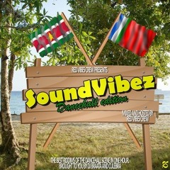 Red Vibes Crew - Soundvibes Dancehall Edition Part 1 JUNE 2K13