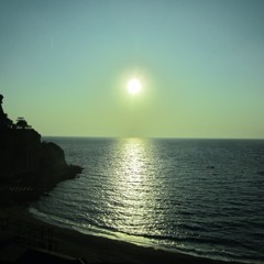 The Warrior Is A Child - Acoustic Cover