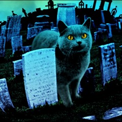 Take Me To The Pet Cemetery