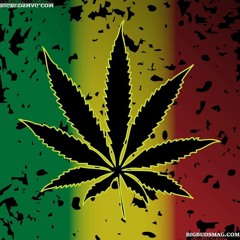 DeeKay [Mr Mini] - Herbs