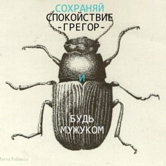 paraNOA