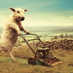 White Lamb