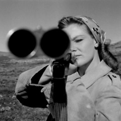 Dumb Things (Paul Kelly)