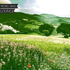 The Troxel Vinyl Lounge