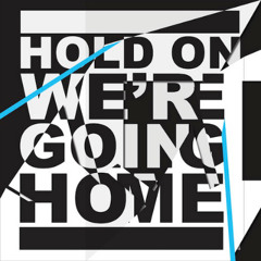 Will Wildfire - Hold On We're Going Home