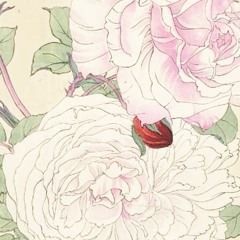 Crab, Spider, Giant Squid