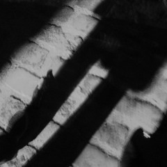 VERO 2014